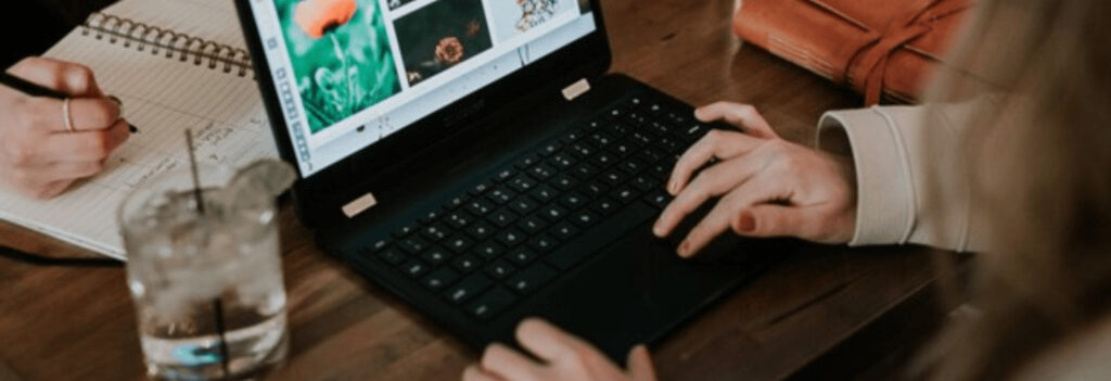 Person looking at different pictures of flowers on a laptop