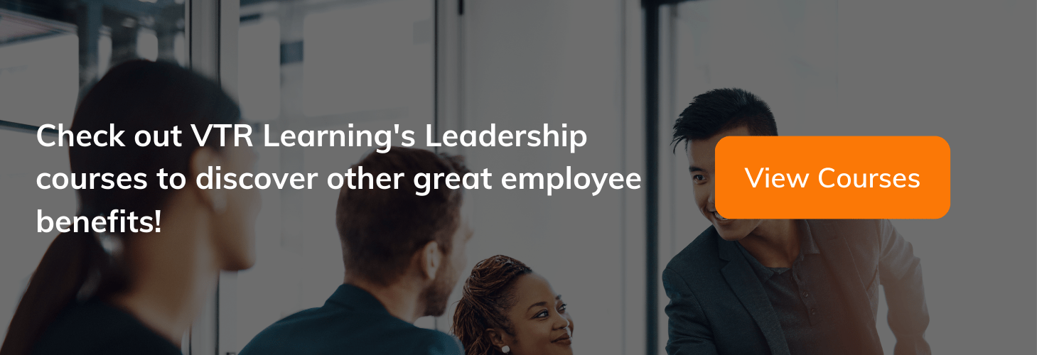 30 Best Employee Benefits Companies Can Offer - VTR Learning